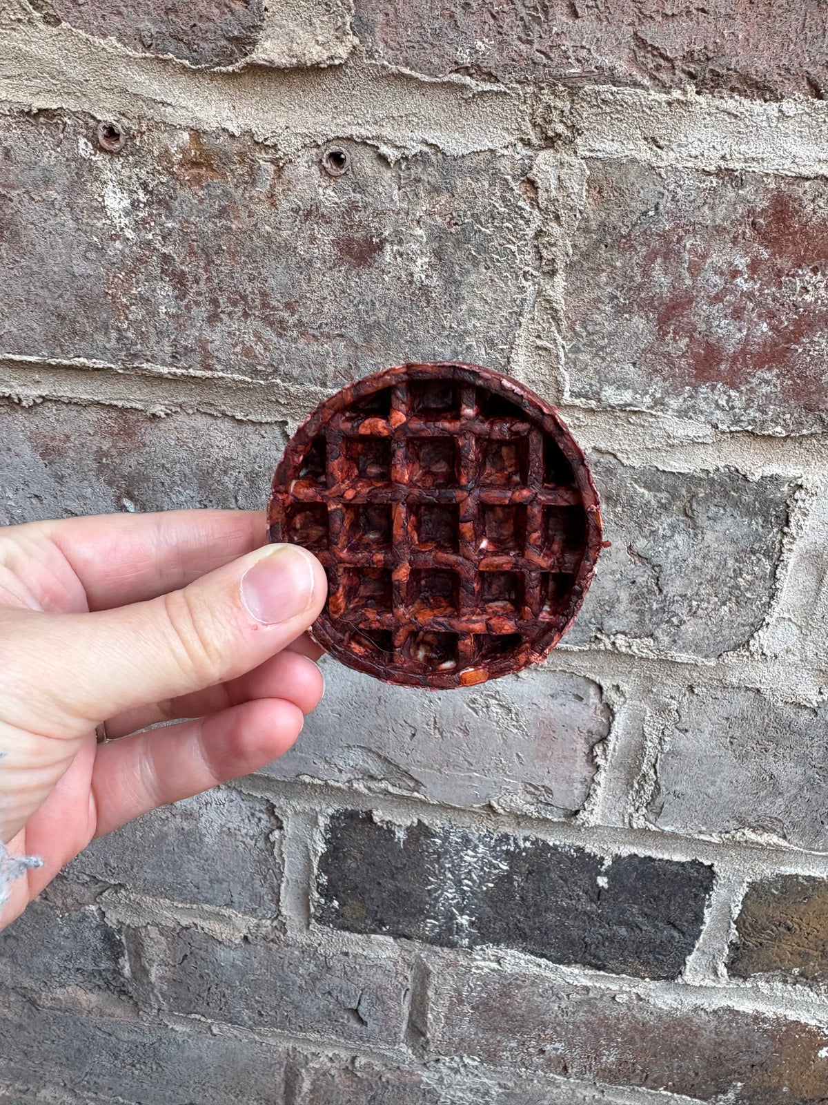 Camel Collagen Waffle