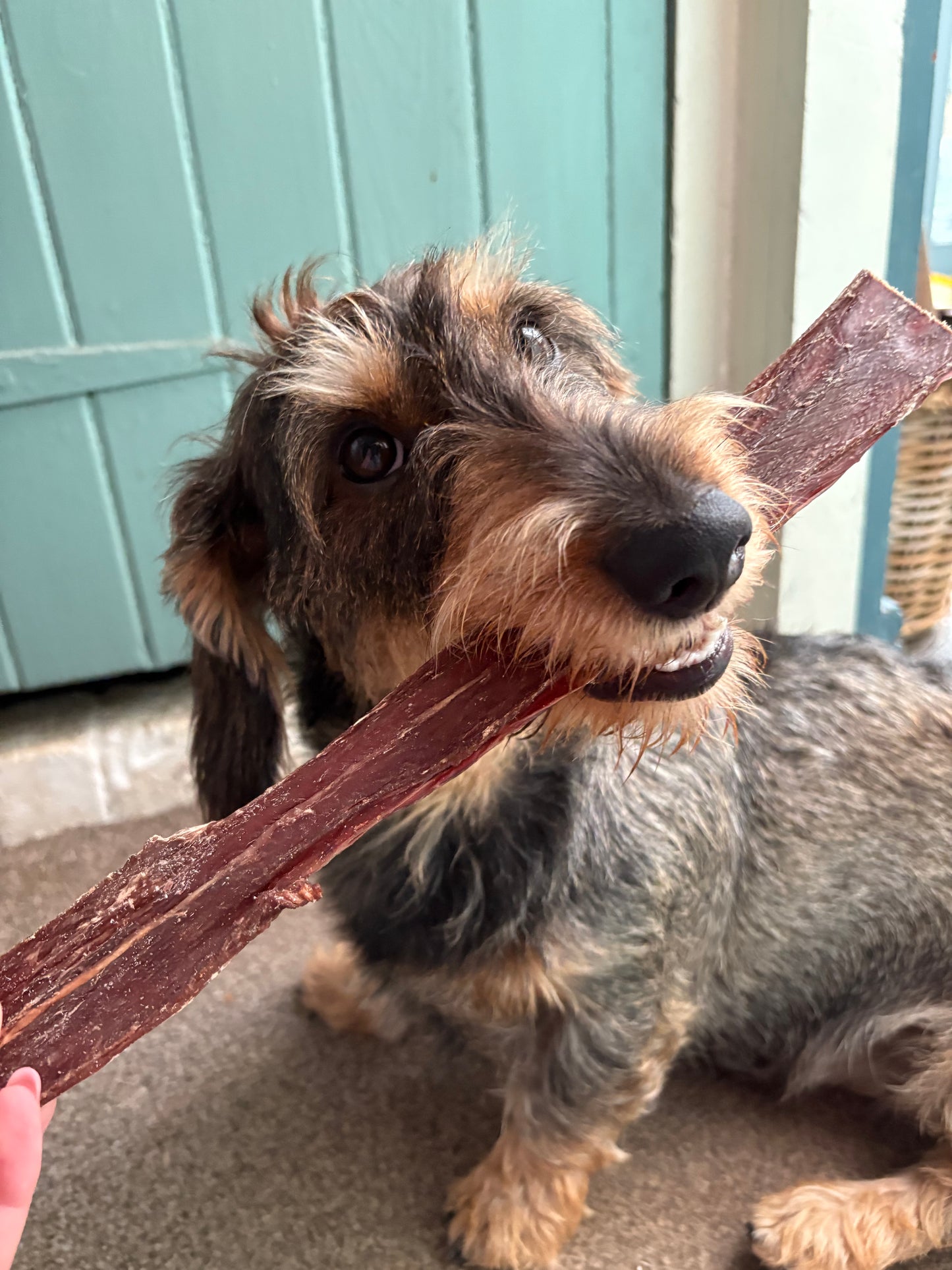 Beef Flatties - 30cm