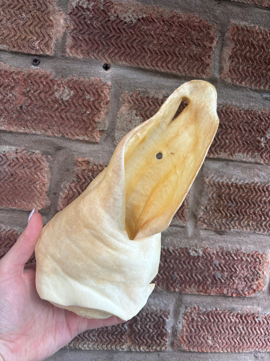 Meaty Cow Ear